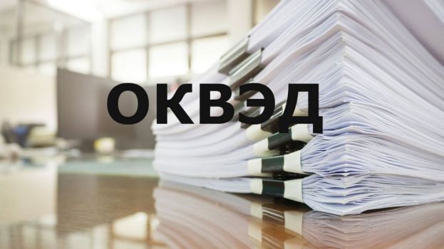 Фонд развития Костромской области «У НКО появились свои коды ОКВЭД»