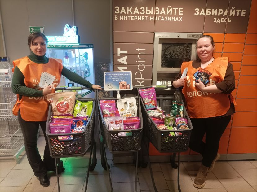 Сотни килограммов продуктов для бездомных животных