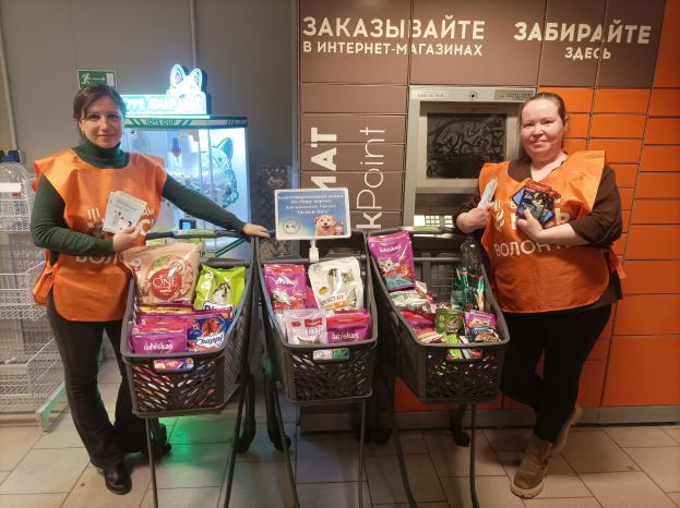 Сотни килограммов продуктов для бездомных животных