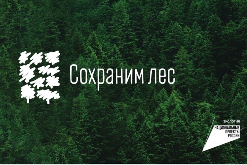Сохраним лес: грузовик мусора собрали за день неравнодушные костромичи