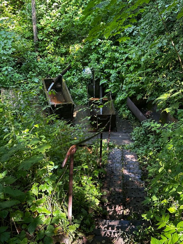 Итоги проекта &laquo;Родники Костромской области. Красносельский район&raquo;