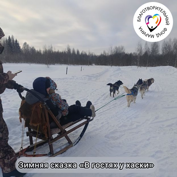 В гостях у хаски