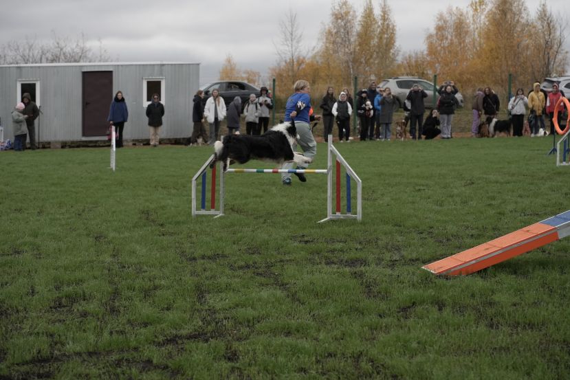 Открытие спортивно-дрессировочной площадки для собак