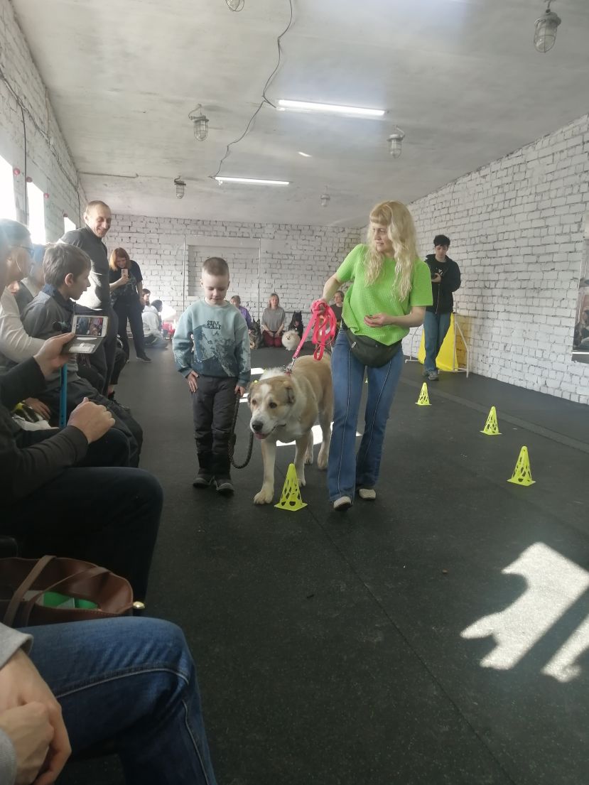 Сердца на ладони