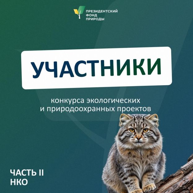Участие НКО в конкурсе Президентского фонда природы