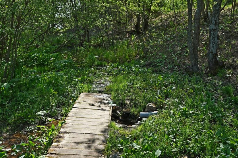 &laquo;Костромской край&raquo; ищет новые родники