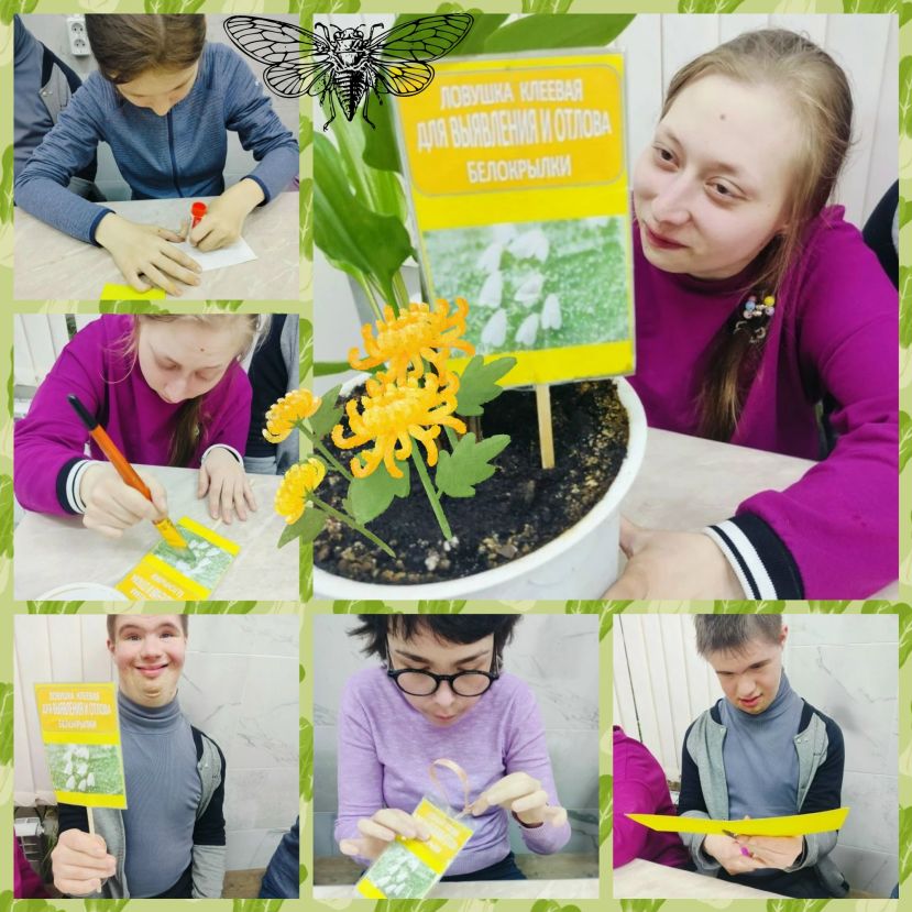 Забота о растениях &ndash; шаг к самостоятельности