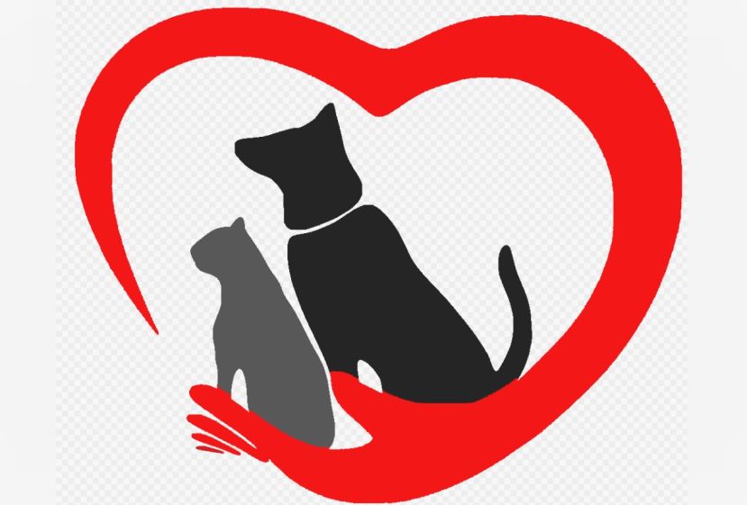 Единые стандарты донорской помощи животным