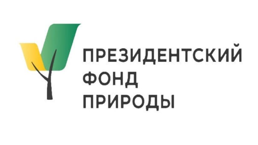 Вебинар Президентского фонда природы