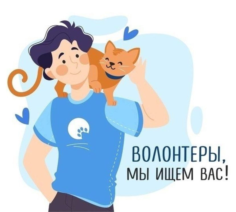 &laquo;Белый Бим&raquo; приглашает волонтеров