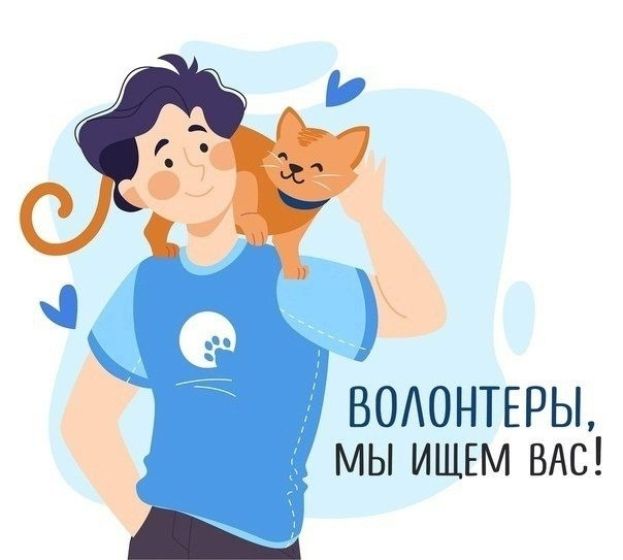 &laquo;Белый Бим&raquo; приглашает волонтеров