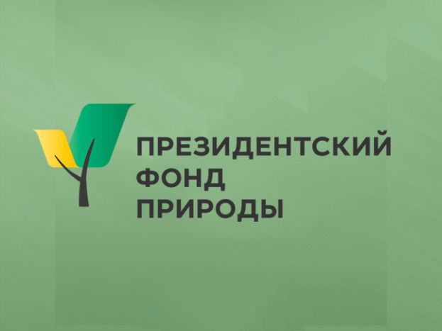 Подробно о первом конкурсе Президентского фонда природы